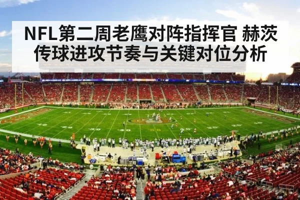 nfl football stadium game